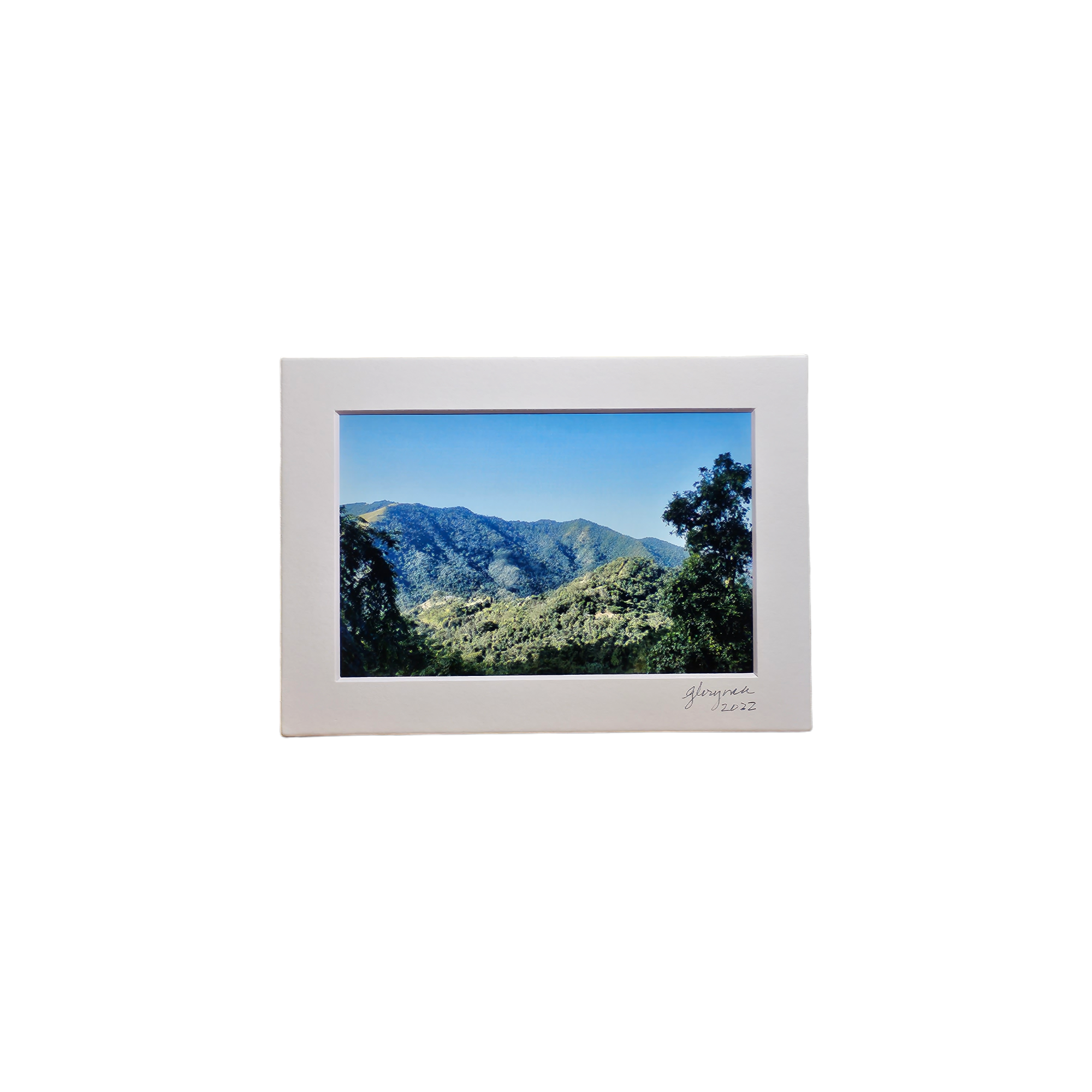 Central Mountain View